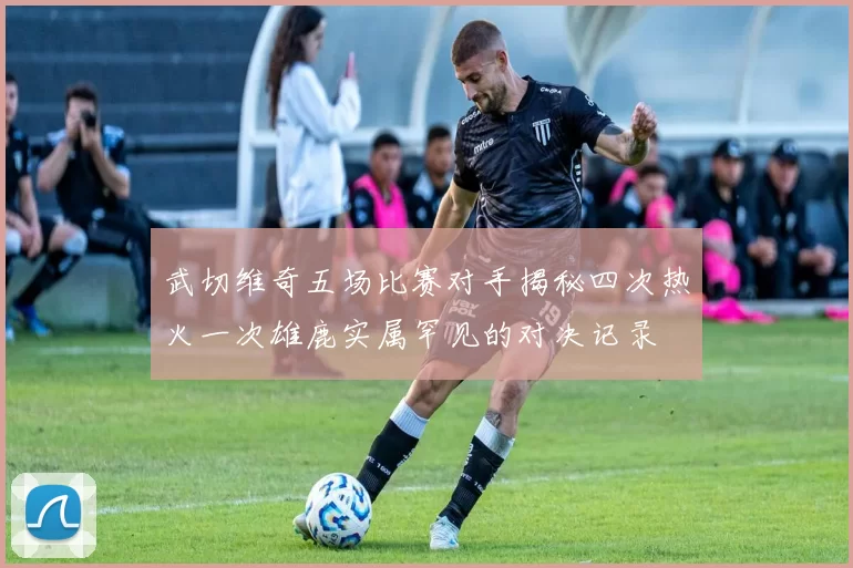 武切维奇五场比赛对手揭秘四次热火一次雄鹿实属罕见的对决记录